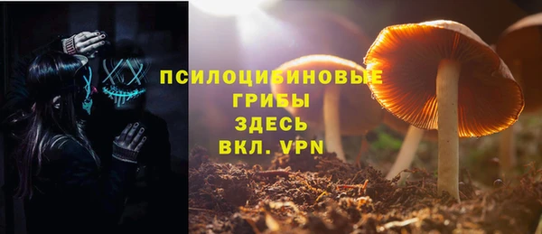 прущая мука Осташков