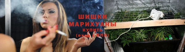 ALPHA PVP Осинники