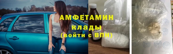 ПСИЛОЦИБИНОВЫЕ ГРИБЫ Дмитриев