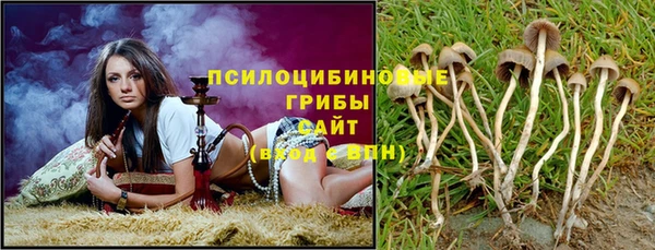 ALPHA PVP Осинники