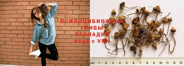 стафф Нягань