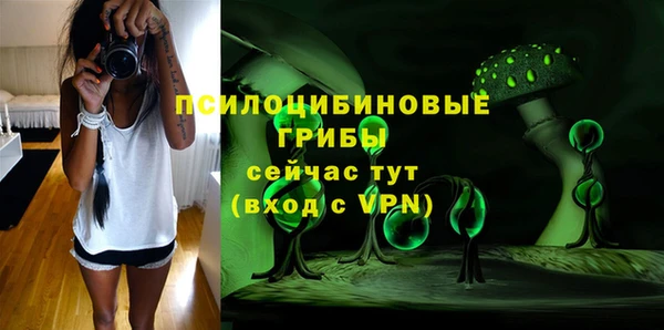 стафф Нягань