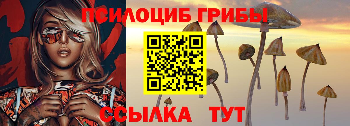 Псилоцибиновые грибы MAGIC MUSHROOMS  Вход с VPN  Когалым  Галлюциногенные грибы мицелий 